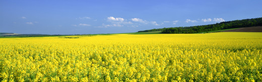 436837 (a): :3840x1200